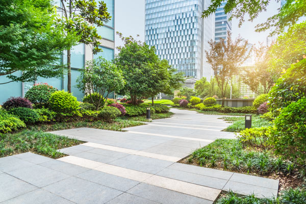 a serene garden pathway surrounded by lush greenery and modern buildings highlighting urban nature and landscape design in the city