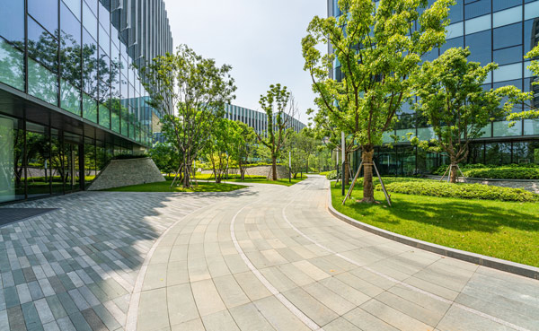 a winding pathway through a modern garden with greenery and glass buildings in the background