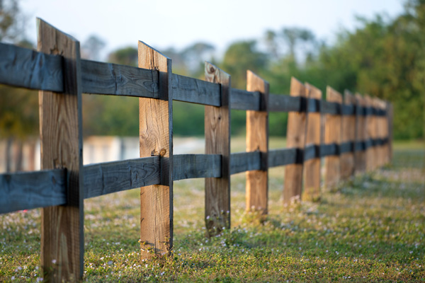 wooden fence along grassy area with blooming wildflowers and trees in background near water reflecting nature and tranquility 
