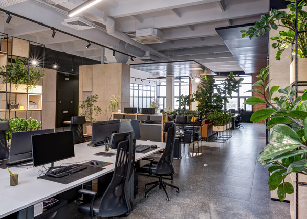 modern office workspace with plants five desks and computers for efficient work environment