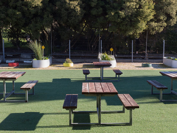 empty picnic area with several tables and green grass suitable for gatherings